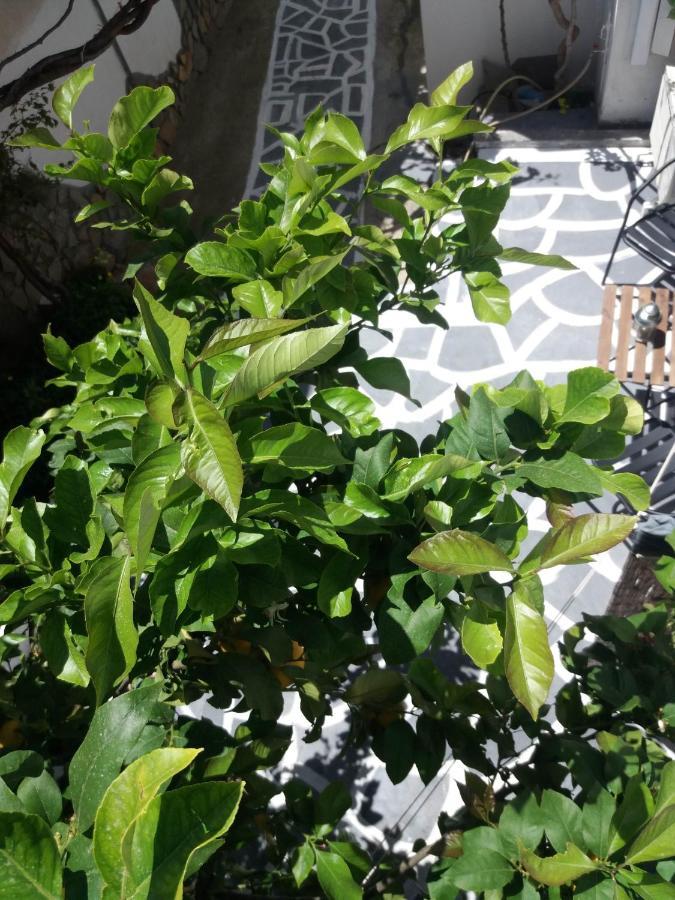 Apartment In Poros Порос Экстерьер фото